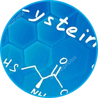 Icône de l'ingrédient L-cystéine