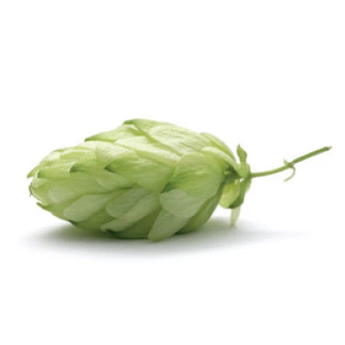 Illustration de l'extrait Rhodiolife de Rhodiola rosea